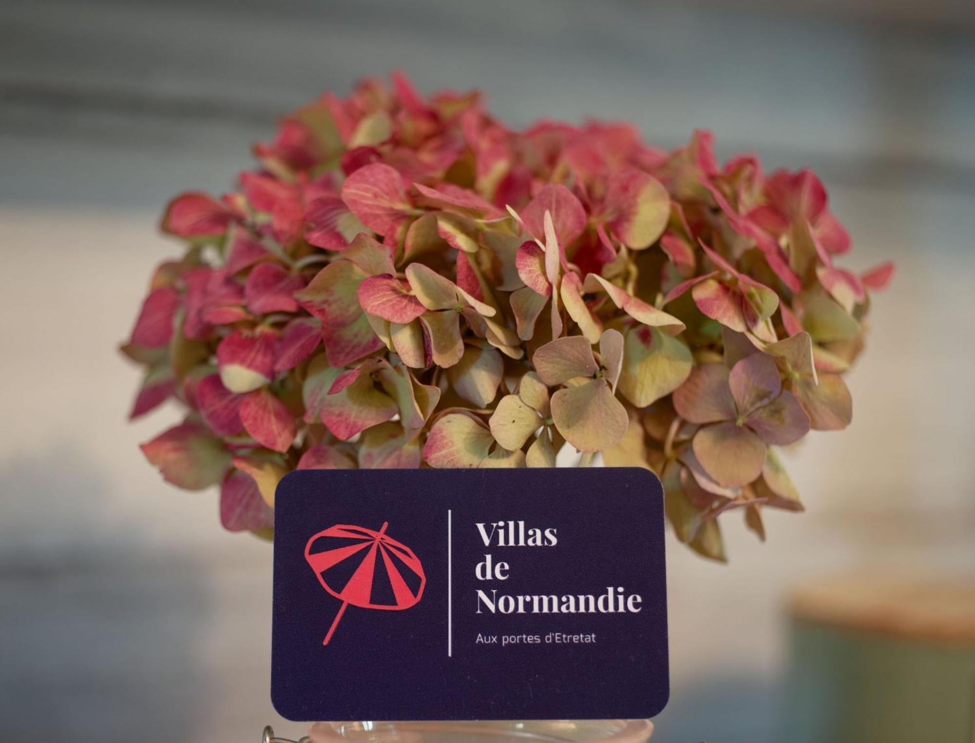 Villa La Fleur De Sel D'Etretat Bordeaux-Saint-Clair Esterno foto
